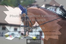ref. photo 3788756