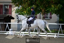 ref. photo 3788866