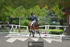 ref. photo 3788895