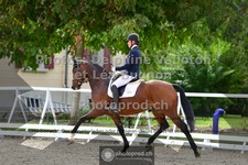 ref. photo 3788898