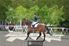 ref. photo 3788901