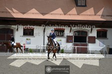ref. photo 3789206