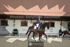 ref. photo 3789243