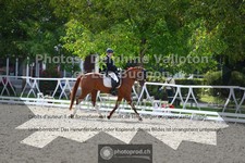 ref. photo 3789386