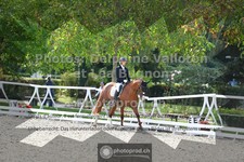 ref. photo 3789396