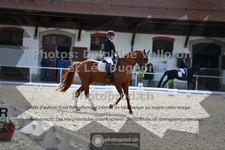 ref. photo 3789400