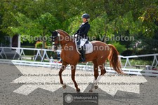 ref. photo 3789402