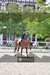 ref. photo 3789406