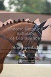 ref. photo 3789410