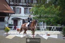 ref. photo 3789430