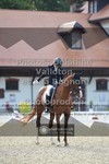 ref. photo 3789434