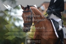 ref. photo 3789479