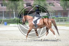 ref. photo 3736614
