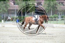 ref. photo 3736621