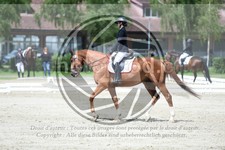 ref. photo 3736635