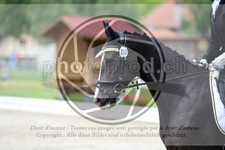 ref. photo 3736696