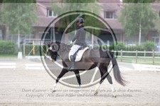 ref. photo 3736717