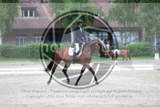 ref. photo 3736936