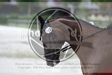 ref. photo 3736953