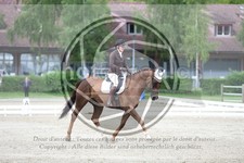 ref. photo 3737163