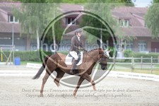 ref. photo 3737164