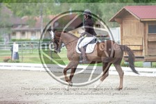 ref. photo 3737174