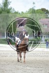 ref. photo 3737179