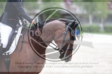 ref. photo 3737284