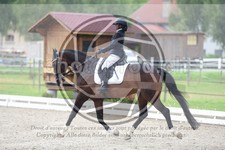ref. photo 3737646