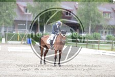 ref. photo 3737668