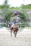 ref. photo 3737681