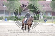 ref. photo 3737730