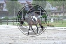 ref. photo 3737801