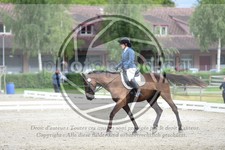 ref. photo 3737825