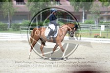 ref. photo 3737958