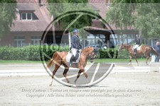 ref. photo 3737960