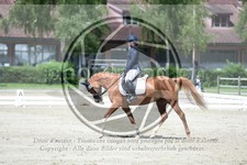 ref. photo 3737980