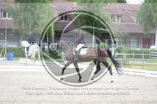 ref. photo 3738017
