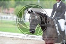 ref. photo 3738021