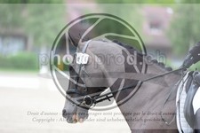 ref. photo 3738030