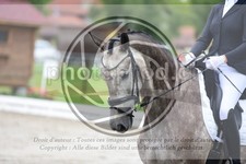 ref. photo 3738073