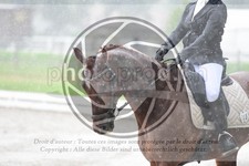 ref. photo 3738097