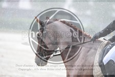 ref. photo 3738098