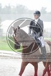 ref. photo 3738101