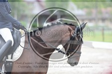 ref. photo 3738193