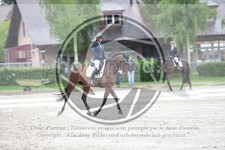 ref. photo 3738199