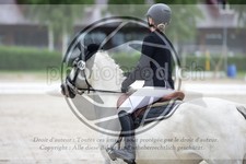 ref. photo 3738221