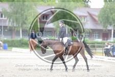 ref. photo 3738304