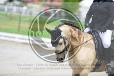 ref. photo 3738480