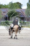 ref. photo 3738486